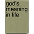 God's Meaning In Life