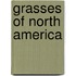 Grasses Of North America