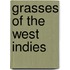 Grasses Of The West Indies