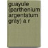 Guayule (Parthenium Argentatum Gray) A R