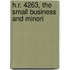 H.R. 4263, The Small Business And Minori
