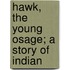 Hawk, The Young Osage; A Story Of Indian