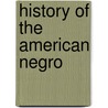 History Of The American Negro door Books Group