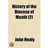 History Of The Diocese Of Meath (2)