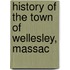 History Of The Town Of Wellesley, Massac