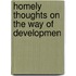 Homely Thoughts On The Way Of Developmen