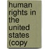 Human Rights In The United States (Copy