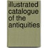 Illustrated Catalogue Of The Antiquities