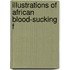 Illustrations Of African Blood-Sucking F