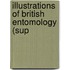 Illustrations Of British Entomology (Sup
