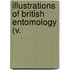 Illustrations Of British Entomology (V.