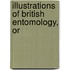 Illustrations Of British Entomology, Or
