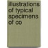 Illustrations Of Typical Specimens Of Co