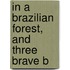 In A Brazilian Forest, And Three Brave B