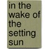 In The Wake Of The Setting Sun