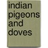 Indian Pigeons And Doves