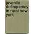 Juvenile Delinquency In Rural New York