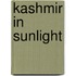 Kashmir In Sunlight