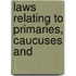 Laws Relating To Primaries, Caucuses And