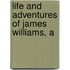 Life And Adventures Of James Williams, A