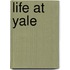 Life At Yale