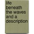 Life Beneath The Waves And A Description