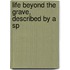 Life Beyond The Grave, Described By A Sp
