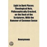 Light In Dark Places; Theological Nuts door Thomas Holmes