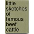 Little Sketches Of Famous Beef Cattle