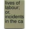 Lives Of Labour; Or, Incidents In The Ca door Cecilia Lucy Brightwell
