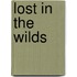 Lost In The Wilds