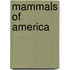 Mammals Of America