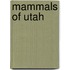 Mammals Of Utah