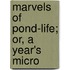 Marvels Of Pond-Life; Or, A Year's Micro