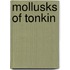 Mollusks Of Tonkin