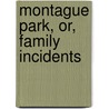 Montague Park, Or, Family Incidents by A. Selwyn