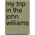 My Trip In The John Williams
