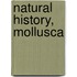 Natural History, Mollusca