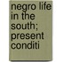 Negro Life In The South; Present Conditi