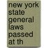 New York State General Laws Passed At Th