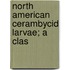 North American Cerambycid Larvae; A Clas