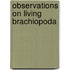 Observations On Living Brachiopoda
