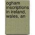 Ogham Inscriptions In Ireland, Wales, An