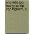 One Wife Too Many; Or, Rip Van Bigham, A
