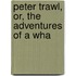 Peter Trawl, Or, The Adventures Of A Wha