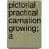 Pictorial Practical Carnation Growing; A