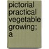 Pictorial Practical Vegetable Growing; A