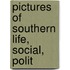 Pictures Of Southern Life, Social, Polit