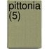 Pittonia (5)