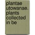 Plantae Utowanae. Plants Collected In Be